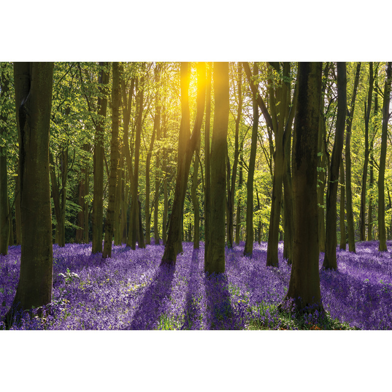 Bluebell Blossoms Aluminum Water Bottle