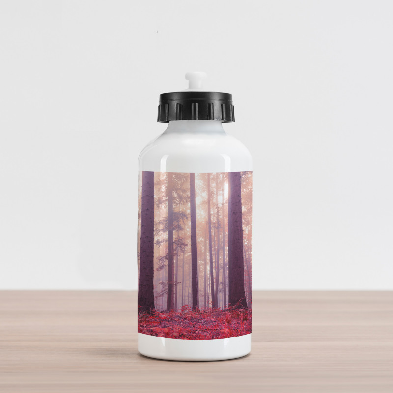 Trees Foggy Sunlight Aluminum Water Bottle