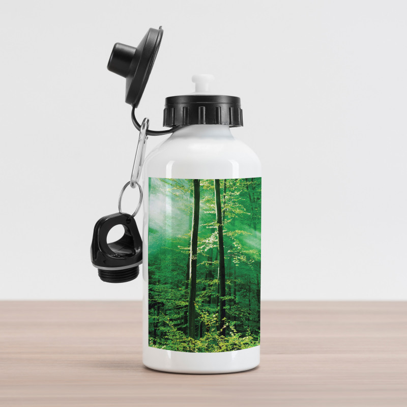 Forest Trees Morning Aluminum Water Bottle