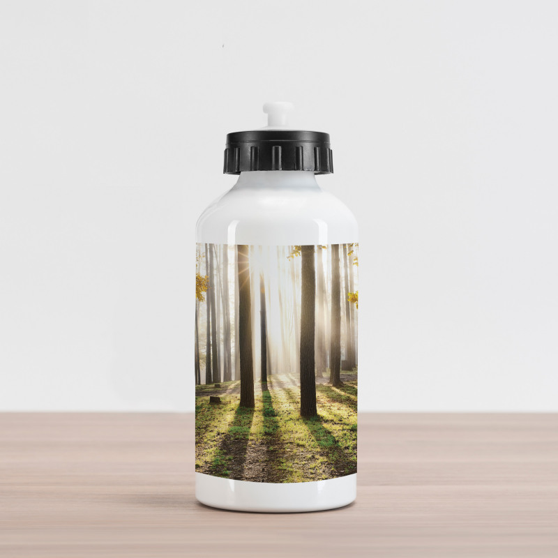 Forest Leaves at Sunrise Aluminum Water Bottle