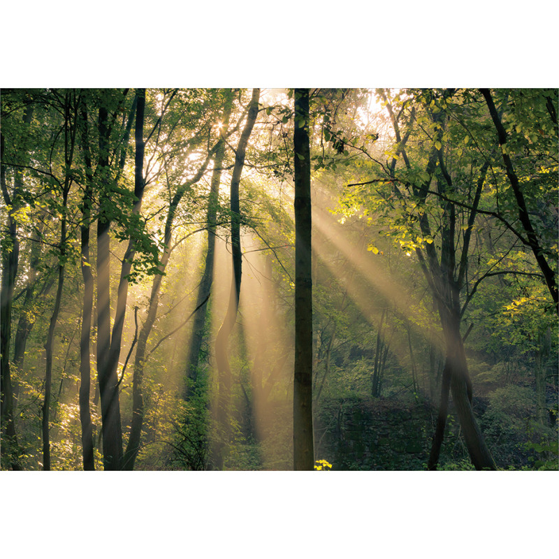 Summertime Countryside Aluminum Water Bottle