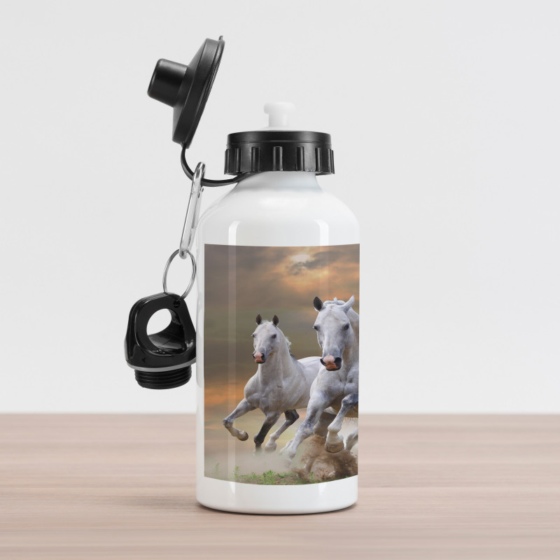 Mystical Sky  Aluminum Water Bottle