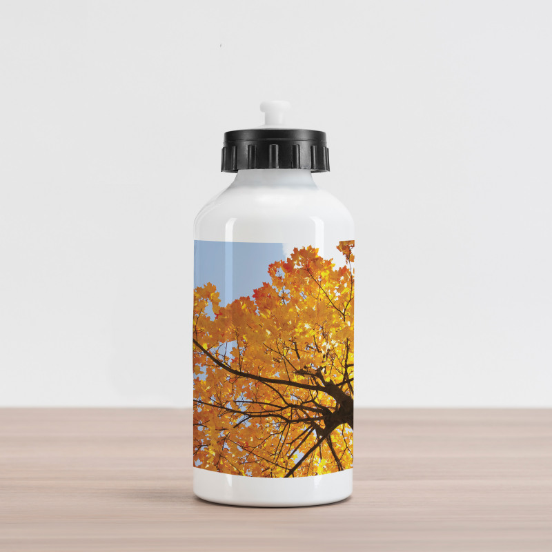 Maple Leaves Fall Autumn Aluminum Water Bottle