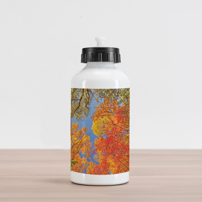 Forest in Autumn Aluminum Water Bottle