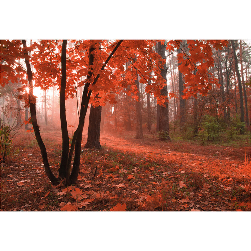 Misty Forest Leaves Orange Aluminum Water Bottle