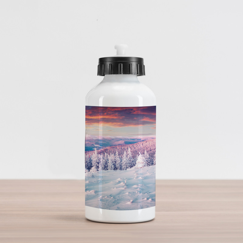 European Snowy Mountain Aluminum Water Bottle