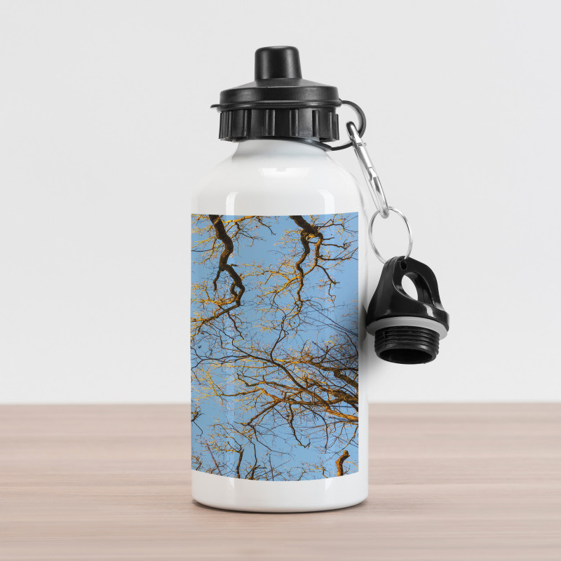 Vibrant Sky with Trees Aluminum Water Bottle