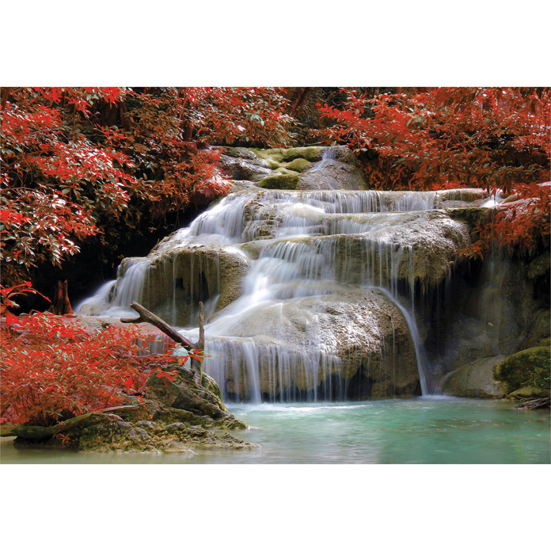 Fall Trees with Rock Aluminum Water Bottle