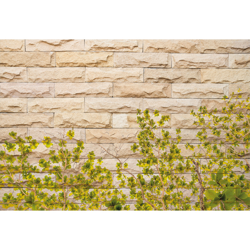 Brick Wall with Leaf Aluminum Water Bottle