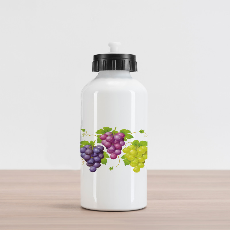 Ivy Burgundy Region Aluminum Water Bottle