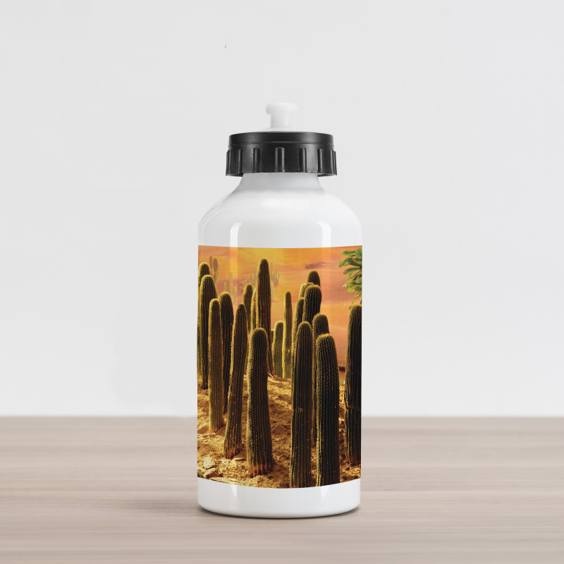 Sunset in Wild Desert Aluminum Water Bottle