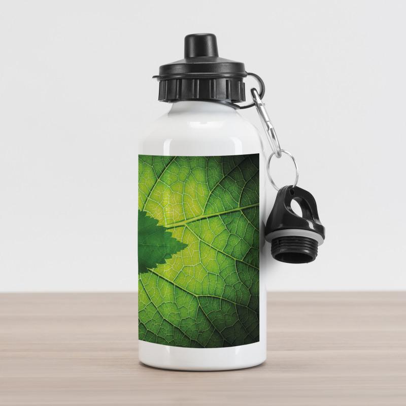 Brazilian Tree Leaf Eco Aluminum Water Bottle