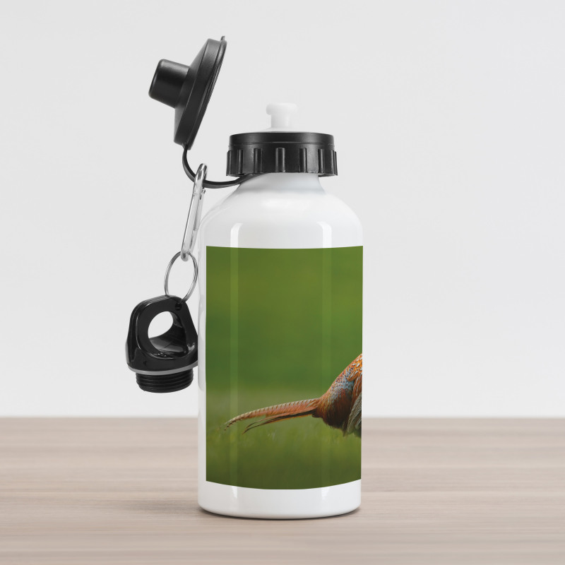 Pheasant Long Tail Meadow Aluminum Water Bottle