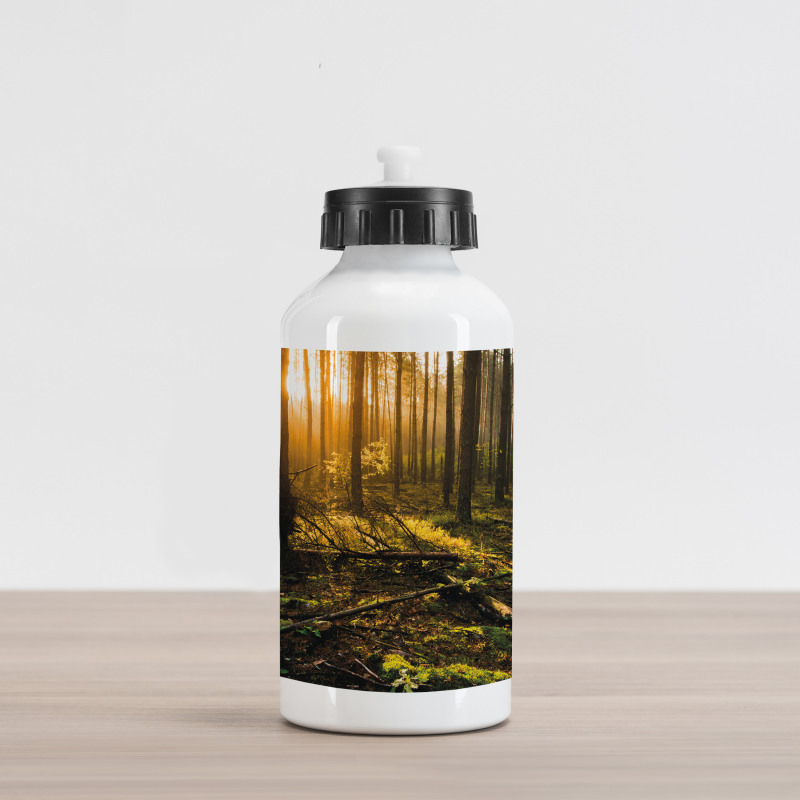 Misty Morning Sun Rays Aluminum Water Bottle