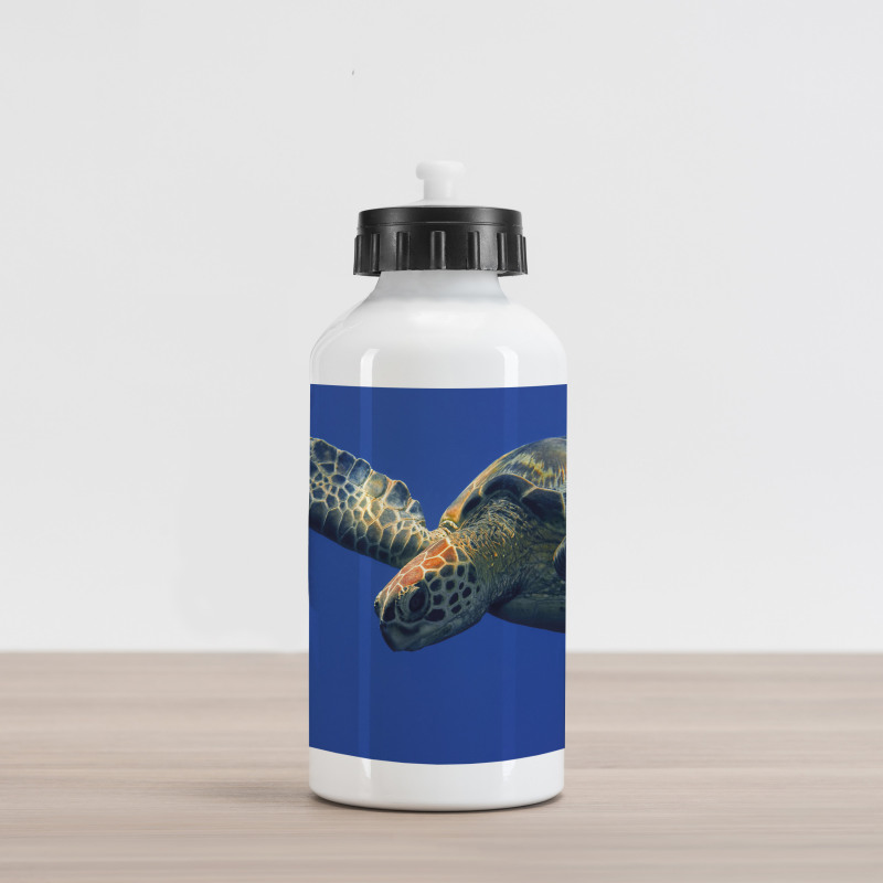 Sea Animal Swimming Aluminum Water Bottle