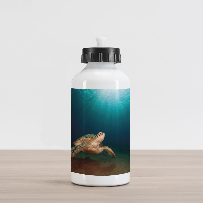 Green Turtle Sunbeam Aluminum Water Bottle