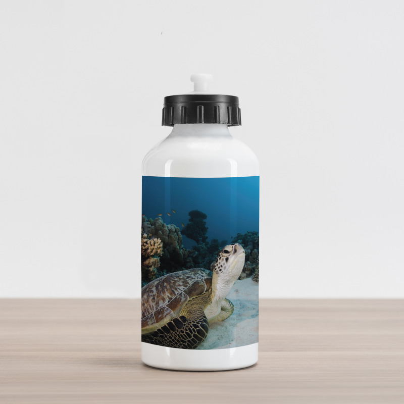 Turtle Coral Reef Aluminum Water Bottle