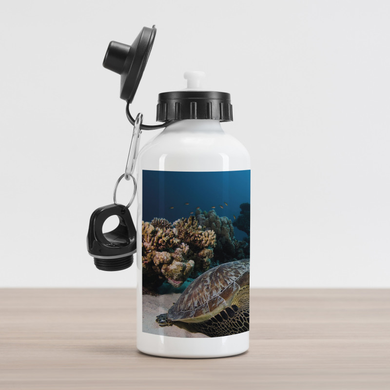 Turtle Coral Reef Aluminum Water Bottle