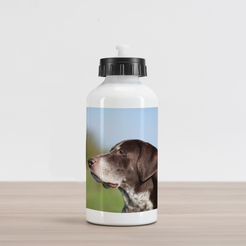 German Pointer Aluminum Water Bottle