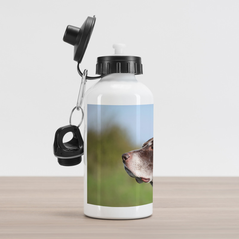 German Pointer Aluminum Water Bottle