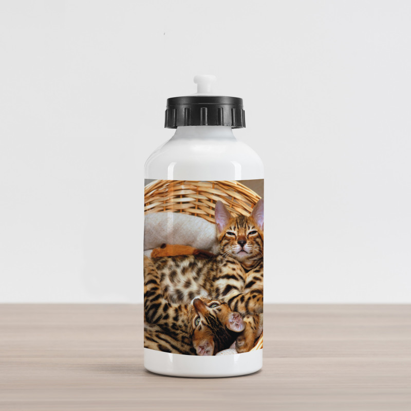 Bengal Cats in Basket Aluminum Water Bottle