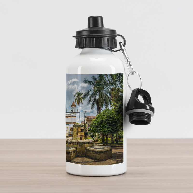 Mayan Town with Palms Aluminum Water Bottle