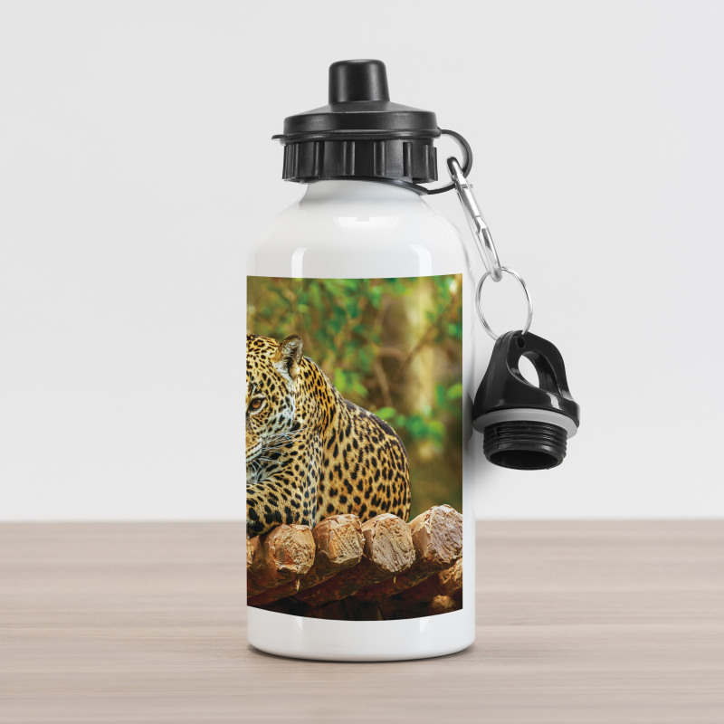 Jaguar on Wood Wild Feline Aluminum Water Bottle