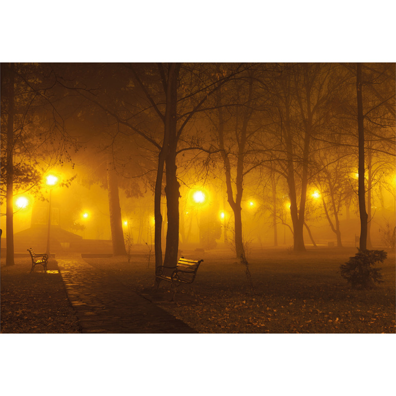 Foggy Evening in the Park Aluminum Water Bottle