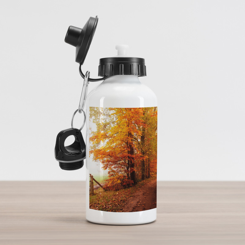 Footpath in Foggy Woods Aluminum Water Bottle