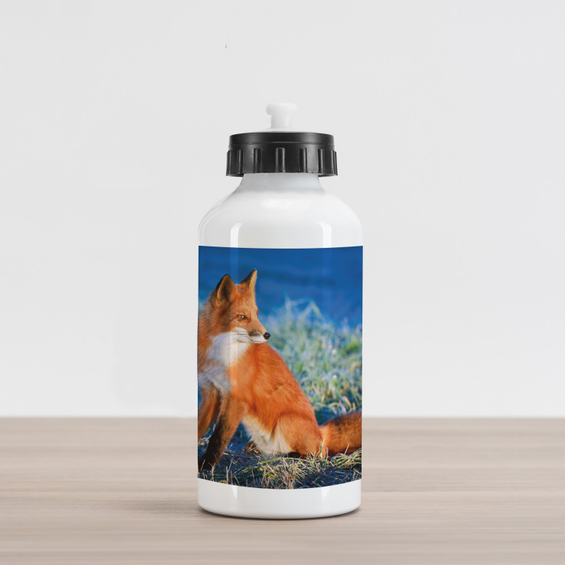 Serene Cold Autumn Field Aluminum Water Bottle