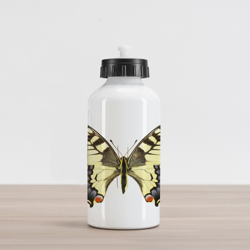 Old Papilio Aluminum Water Bottle