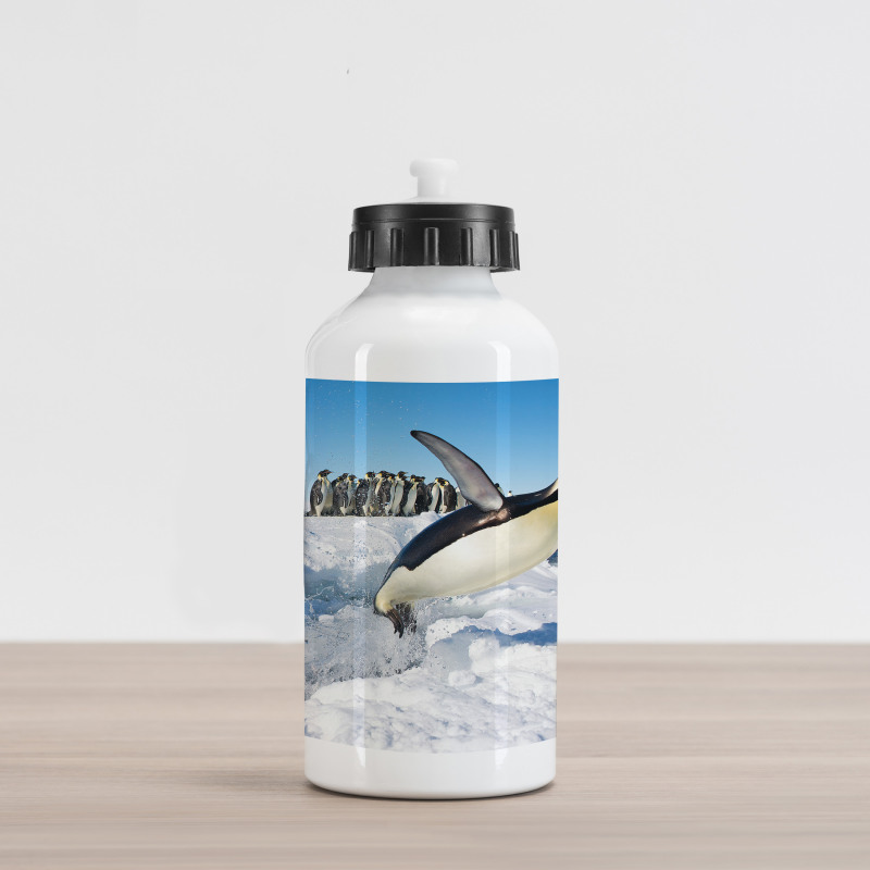 Detailed Arctic Photo Aluminum Water Bottle