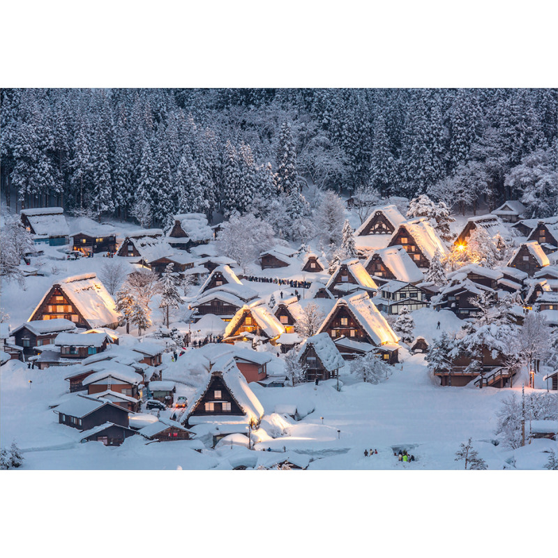 Shirakawago Village Aluminum Water Bottle