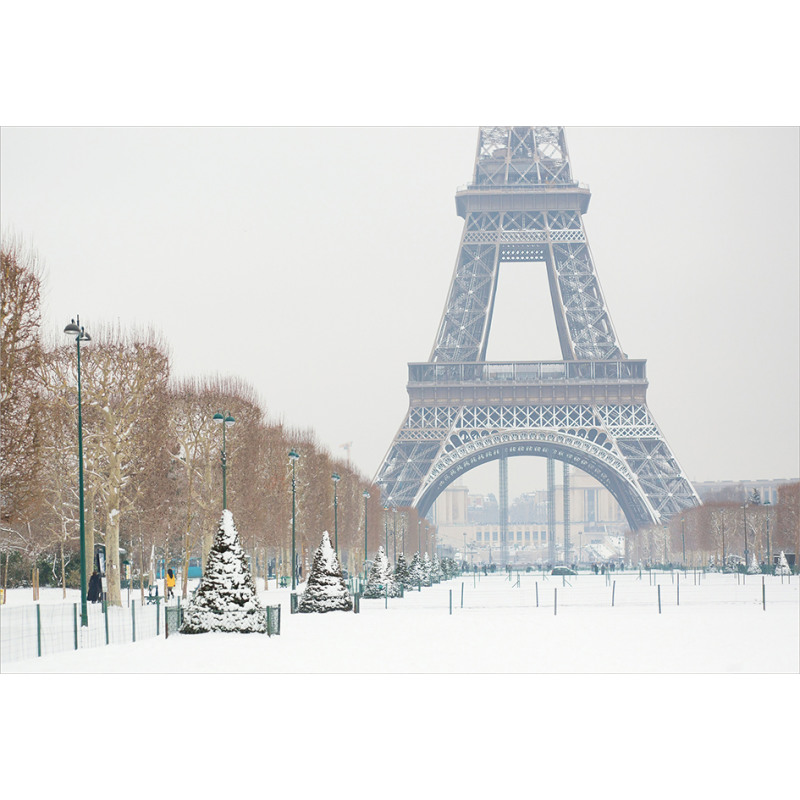 Eiffel Tower in Snow Aluminum Water Bottle