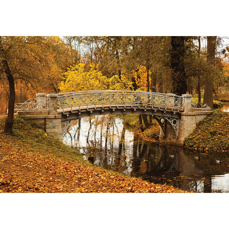 Old Bridge in Fall Forest Aluminum Water Bottle