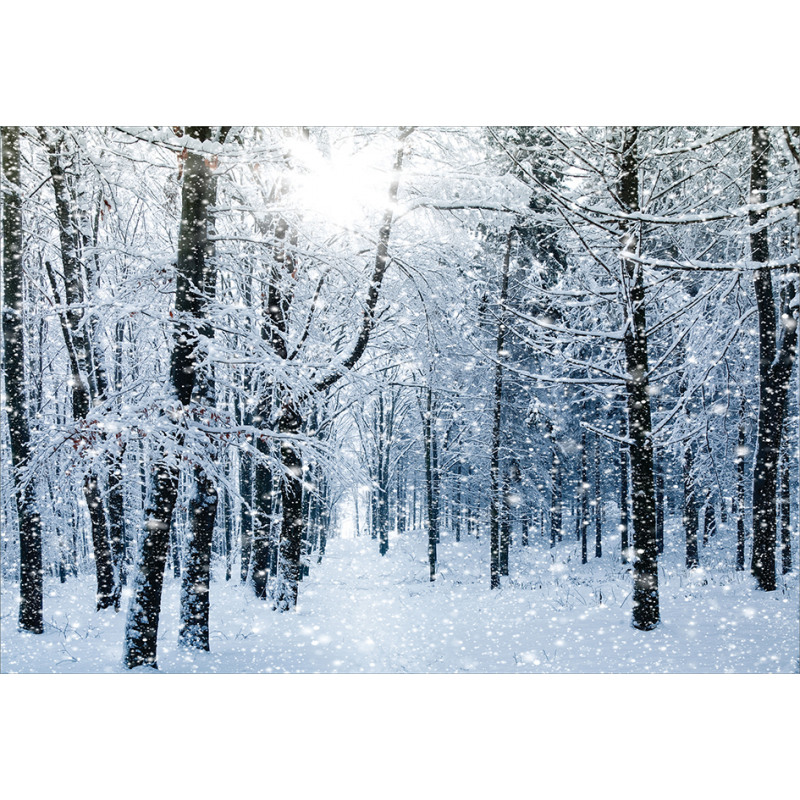 Snow Covered Forest Aluminum Water Bottle