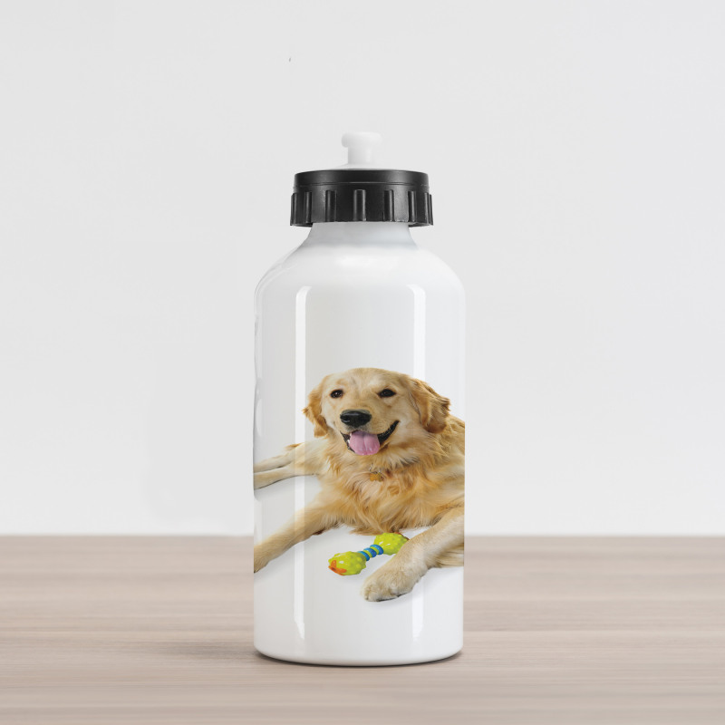 Pet Dog Toy Aluminum Water Bottle