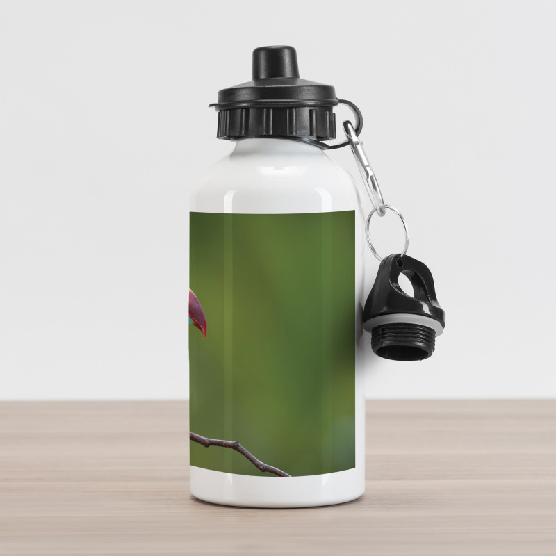 Keel Billed Toucan Aluminum Water Bottle