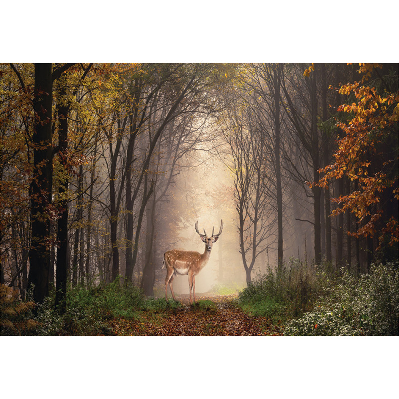 Deer Mystical Forest Aluminum Water Bottle