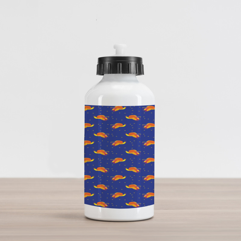 Birds in Starry Night Sky Aluminum Water Bottle