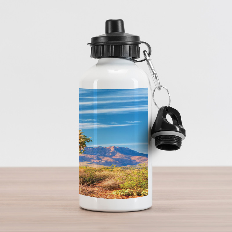 Landscape and Prickle Plant Aluminum Water Bottle