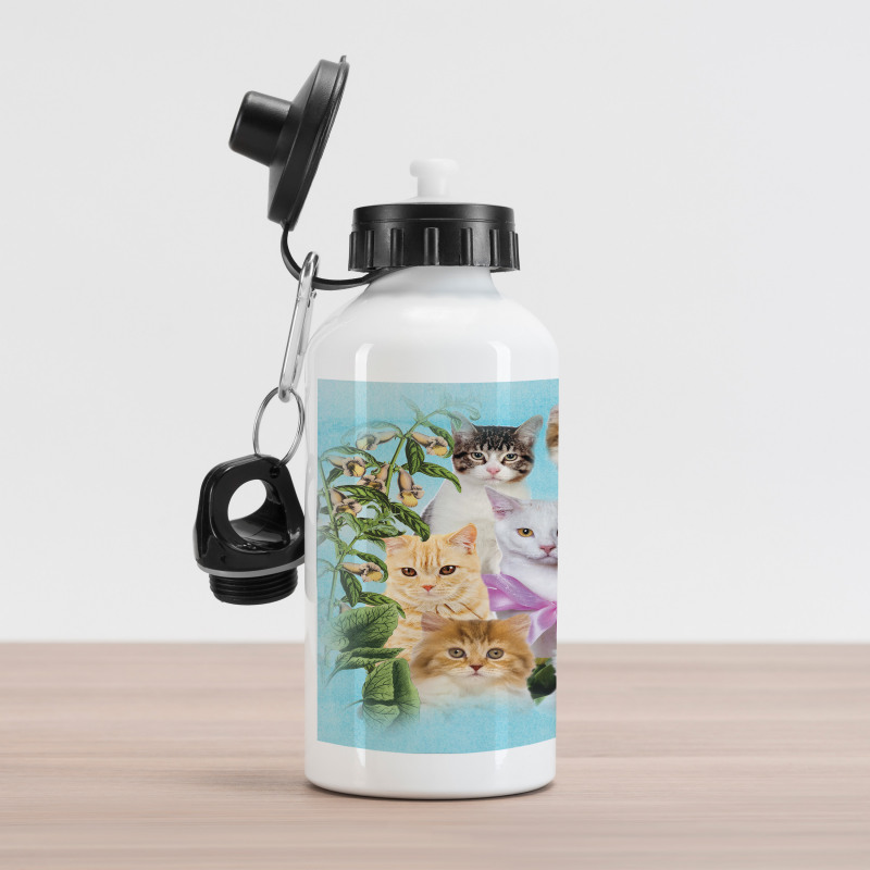 Cats Feline Domestic Aluminum Water Bottle