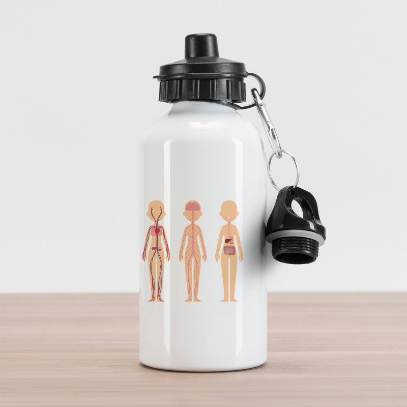 Female Body Anatomy Chart Aluminum Water Bottle