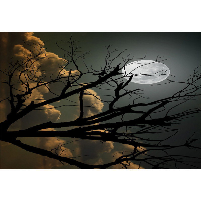 Bare Branches and Full Moon Aluminum Water Bottle