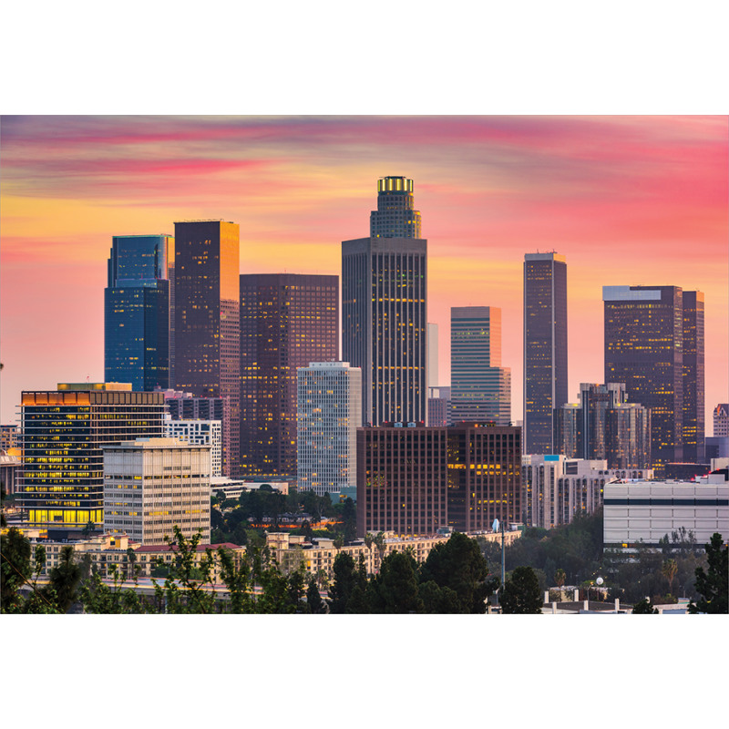 Los Angeles Skyline Orange Sky Aluminum Water Bottle