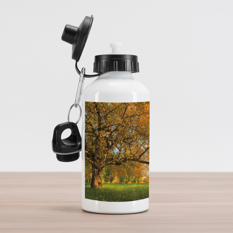 Tree Branches Blue Sky Aluminum Water Bottle