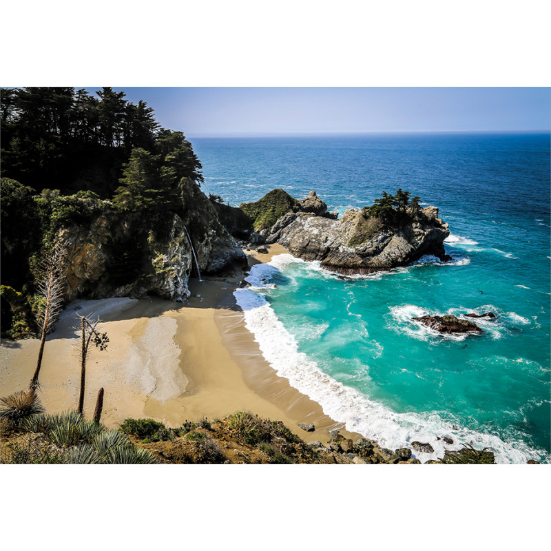 Pfeiffer State Park Coast Aluminum Water Bottle