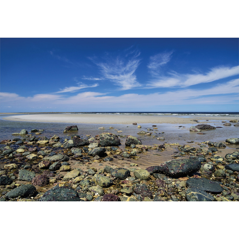 Plum Island Beach Aluminum Water Bottle