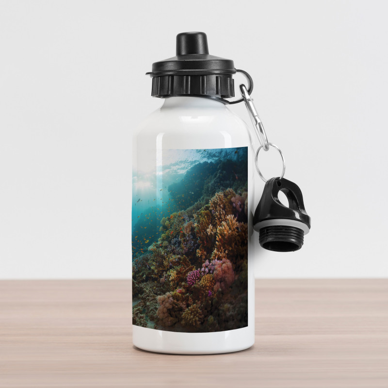 Exploration Coral Reef Wall Aluminum Water Bottle