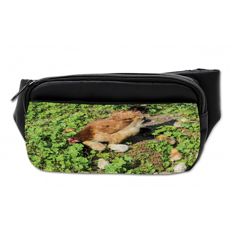 Animals on Shamrocks Bumbag